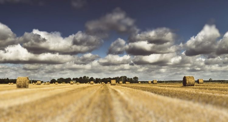 Istituto G. Galilei Torino - Agraria